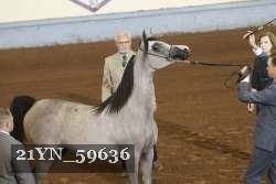 21YN_59636 thumbnail
