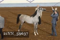 21YN_59637 thumbnail