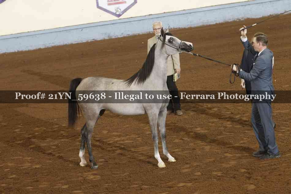 Proof Number 21YN_59638