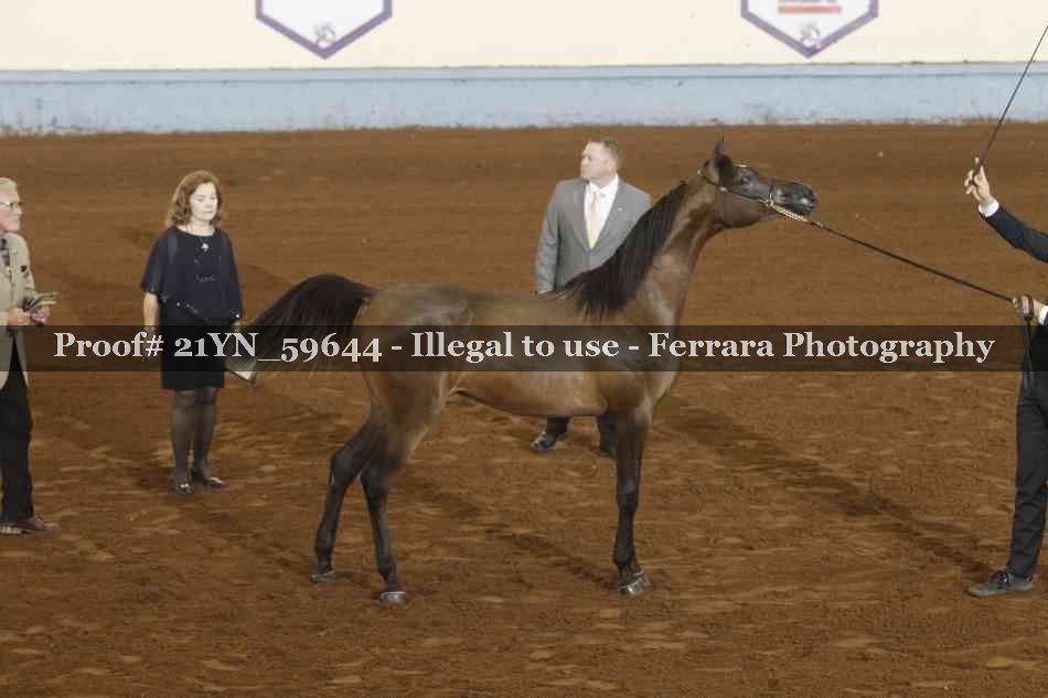 Proof Number 21YN_59644