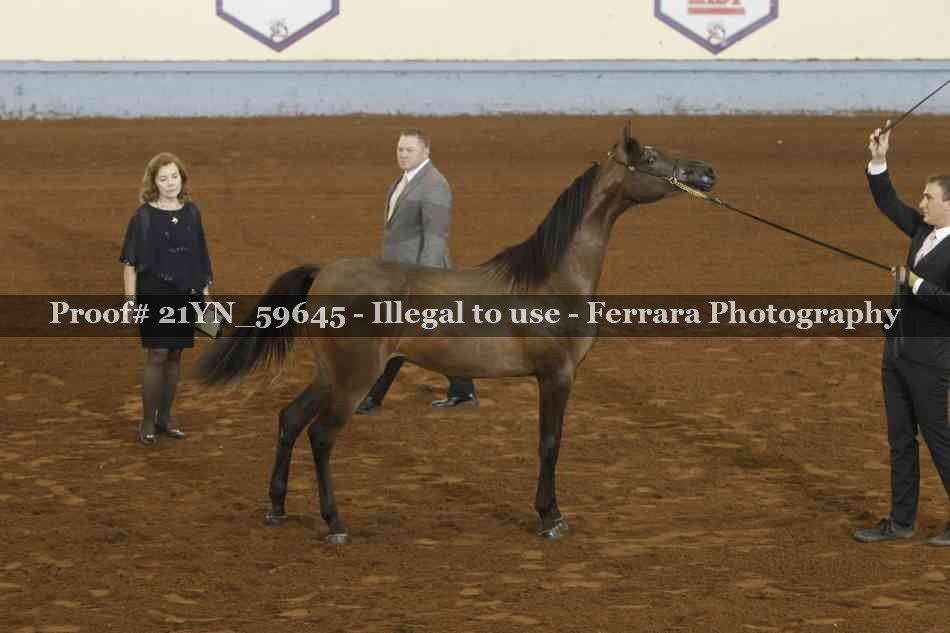 Proof Number 21YN_59645
