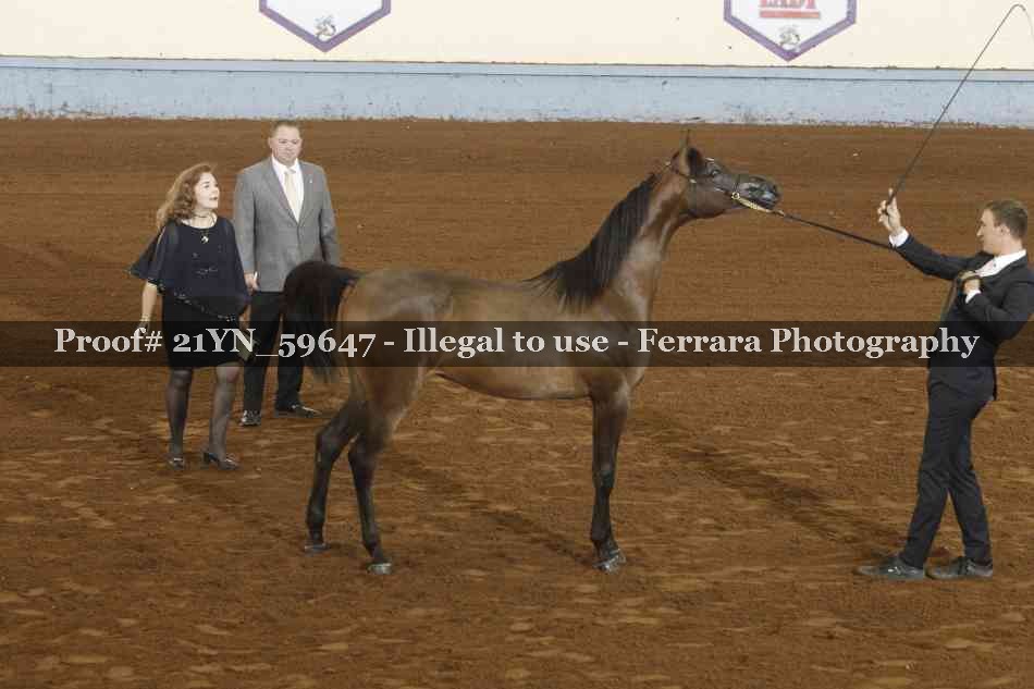 Proof Number 21YN_59647