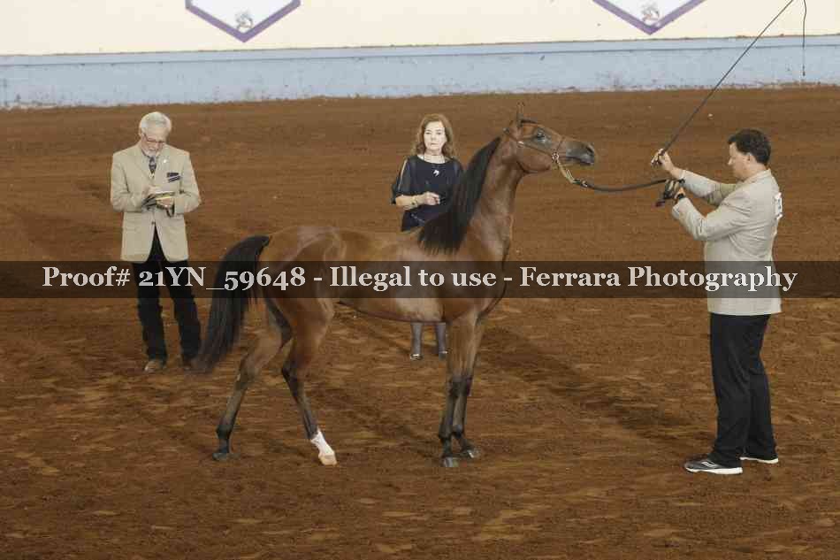Proof Number 21YN_59648