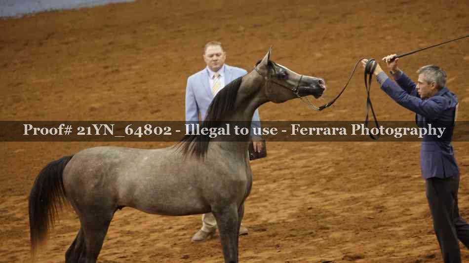 Proof Number 21YN_64802
