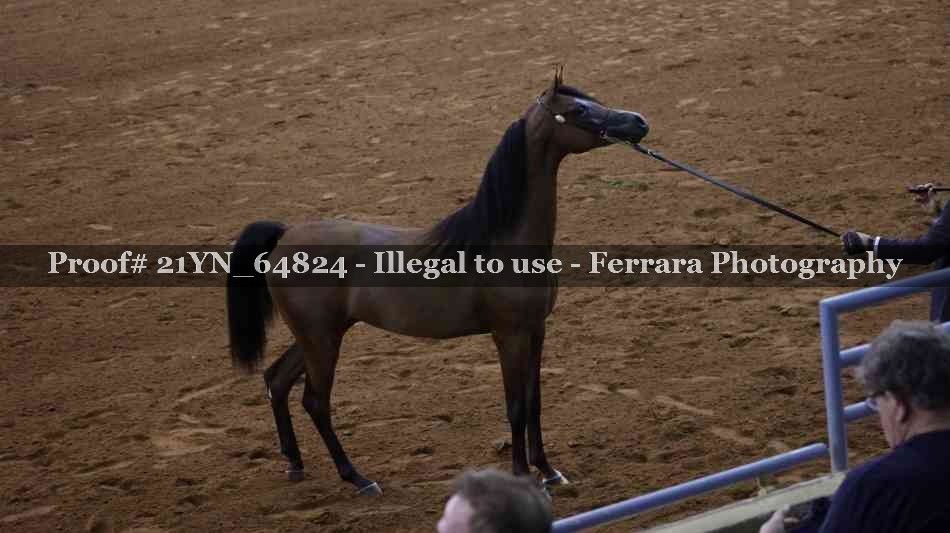 Proof Number 21YN_64824