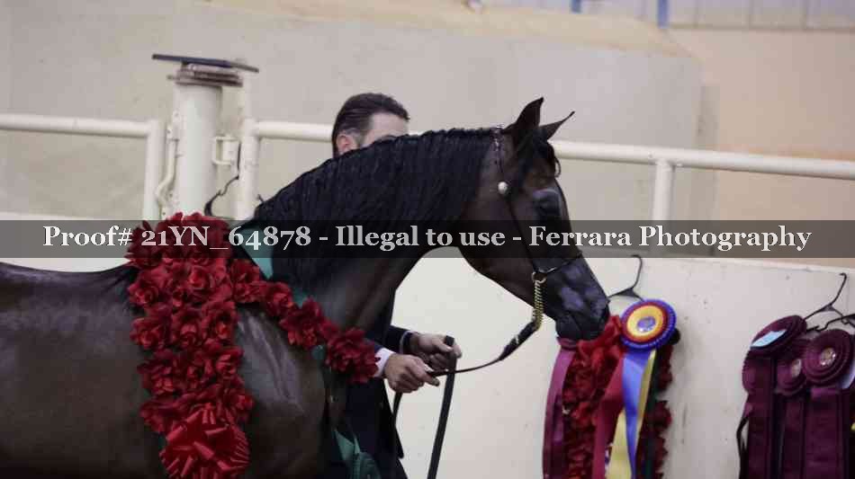 Proof Number 21YN_64878
