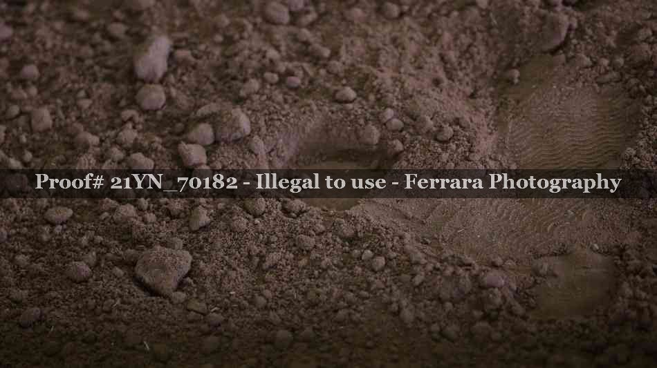 Proof Number 21YN_70182