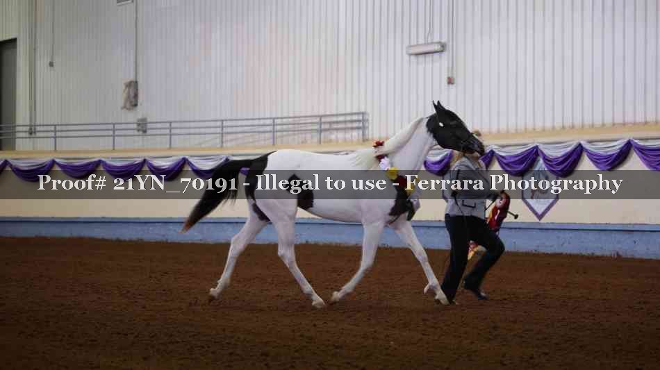 Proof Number 21YN_70191