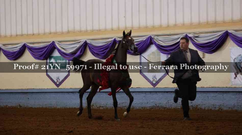 Proof Number 21YN_59971