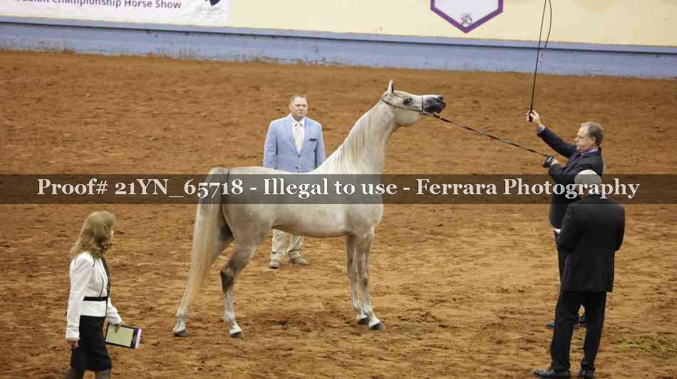 Proof Number 21YN_65718
