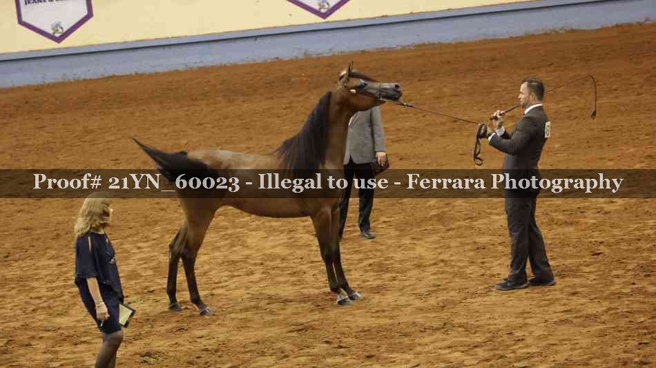 Proof Number 21YN_60023