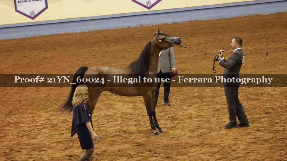 Proof Number 21YN_60024