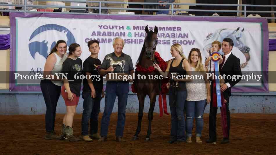 Proof Number 21YN_60073