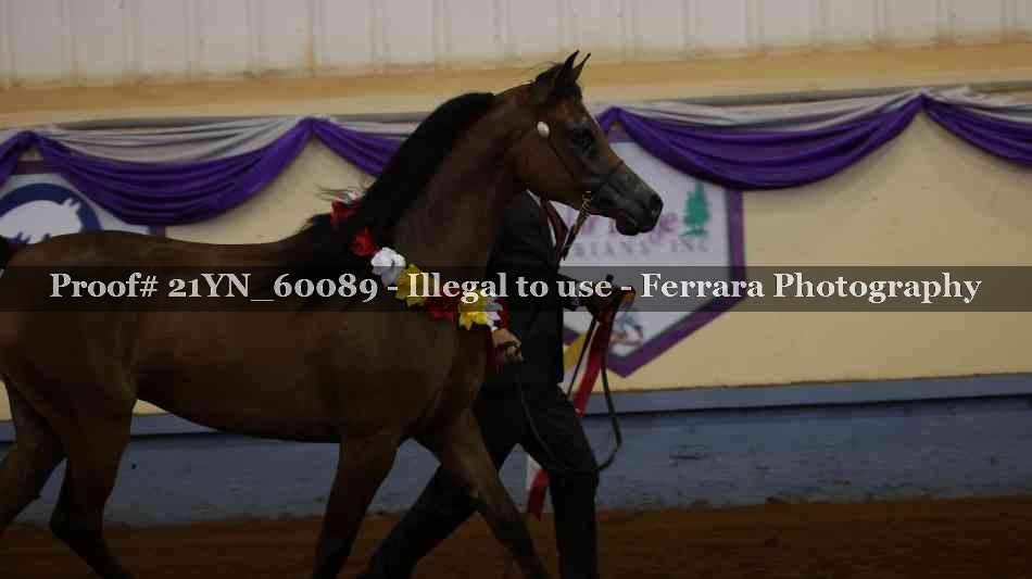 Proof Number 21YN_60089