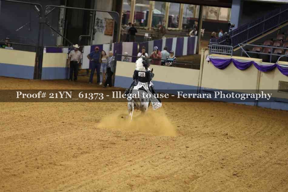 Proof Number 21YN_61373