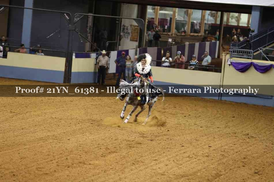 Proof Number 21YN_61381