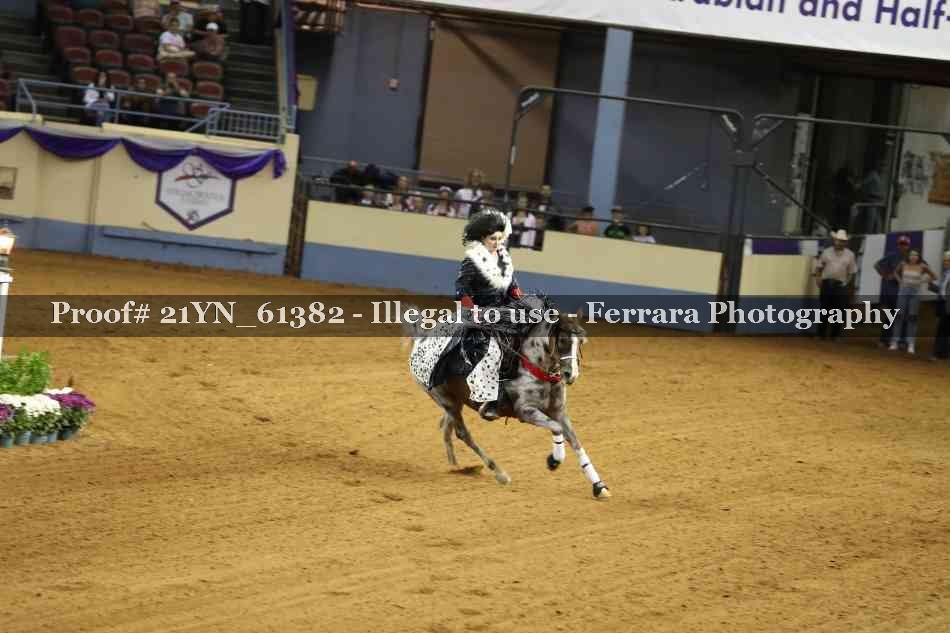 Proof Number 21YN_61382