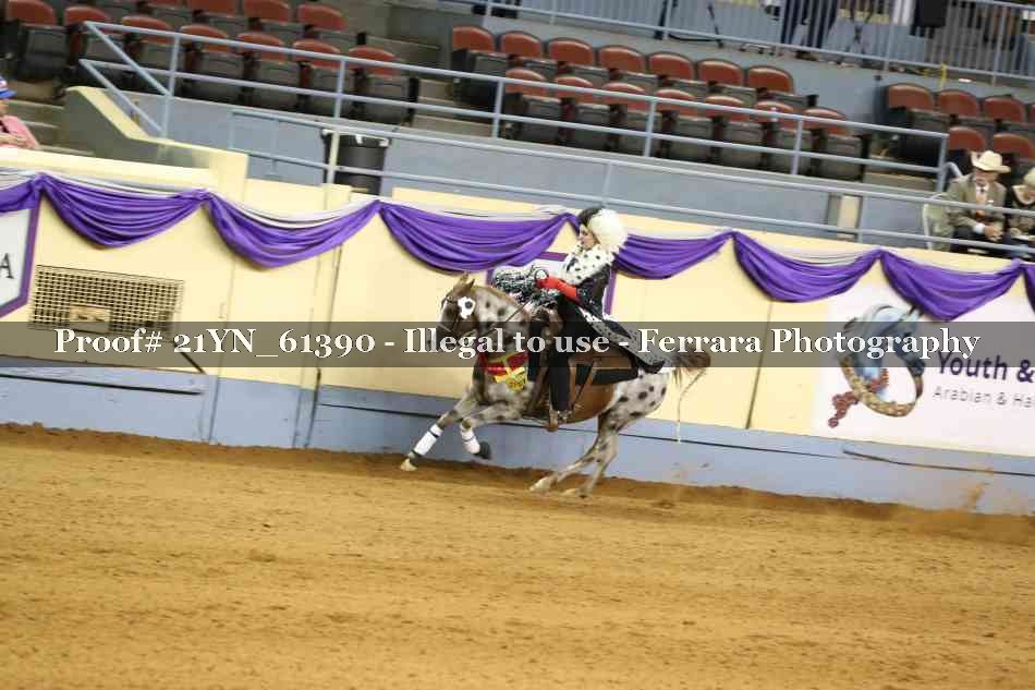 Proof Number 21YN_61390
