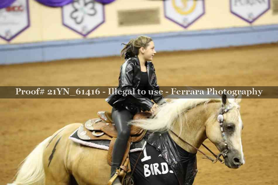 Proof Number 21YN_61416