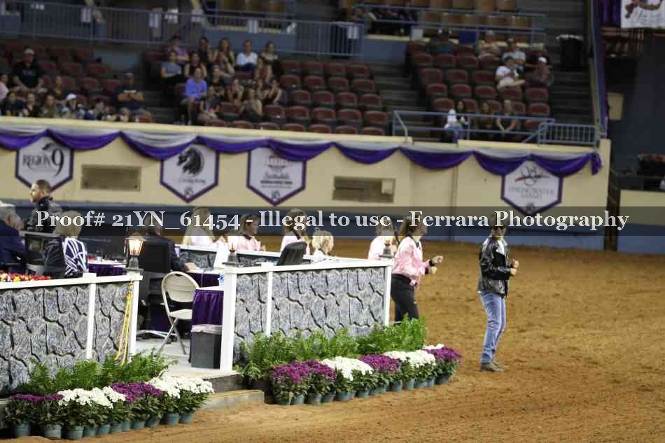 Proof Number 21YN_61454