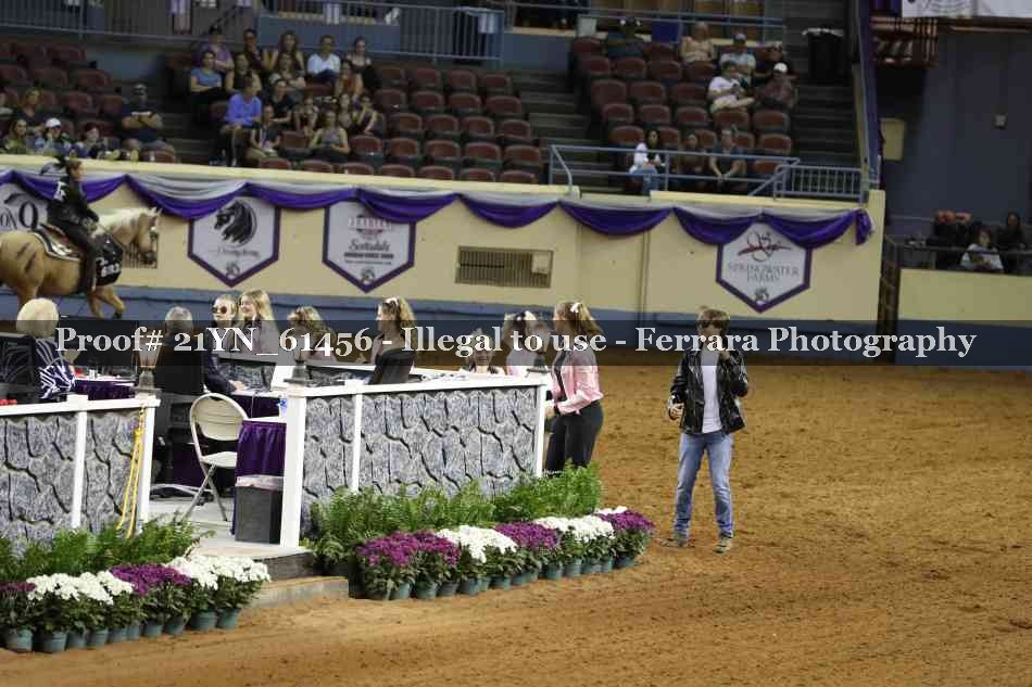 Proof Number 21YN_61456