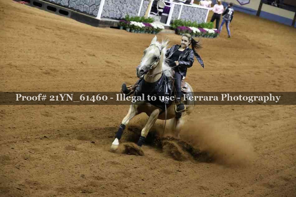 Proof Number 21YN_61460