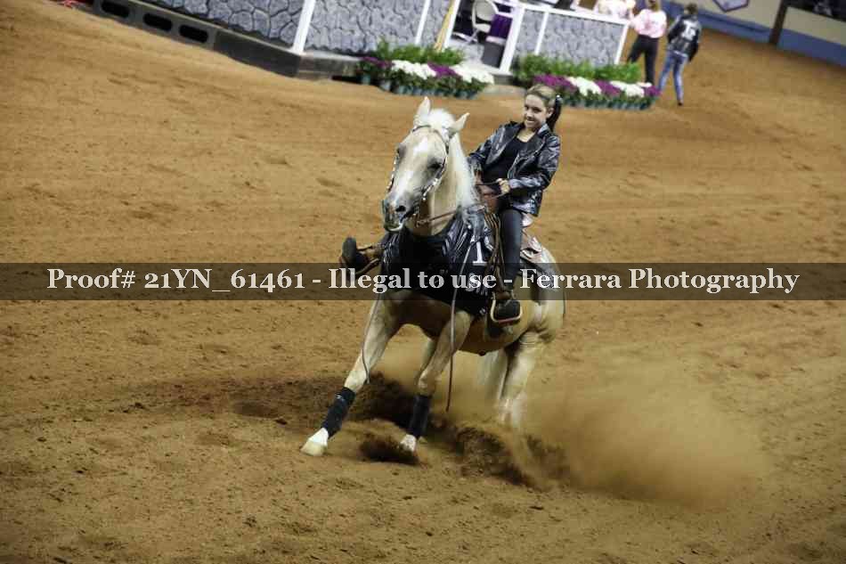 Proof Number 21YN_61461