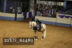 21YN_61481 thumbnail