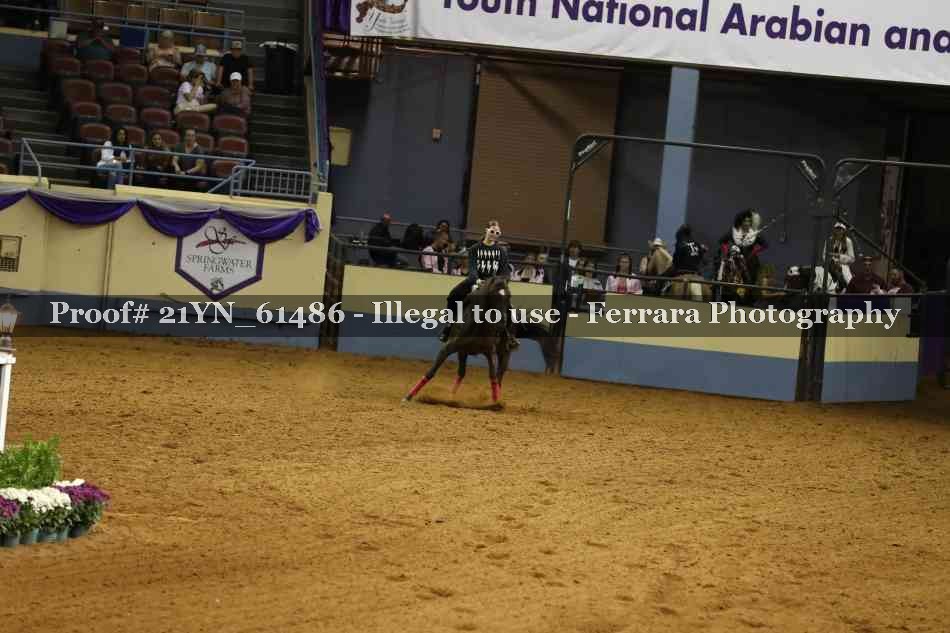 Proof Number 21YN_61486