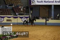 21YN_61487 thumbnail