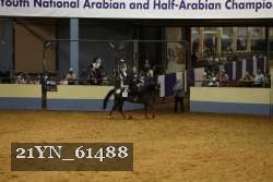 21YN_61488 thumbnail