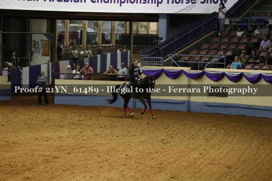 Proof Number 21YN_61489