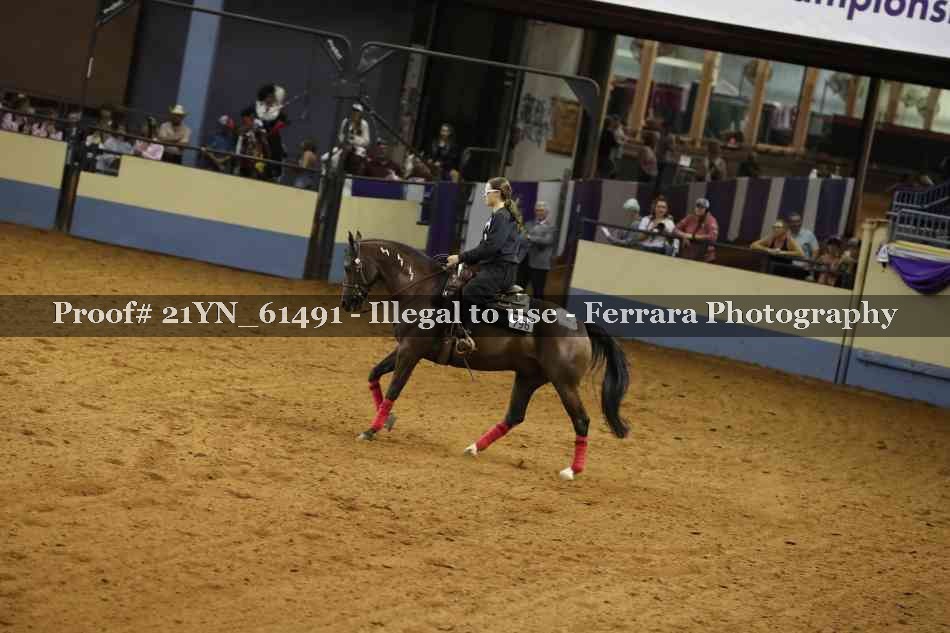 Proof Number 21YN_61491