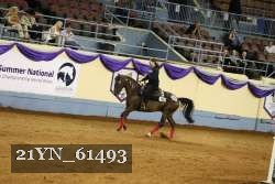 21YN_61493 thumbnail