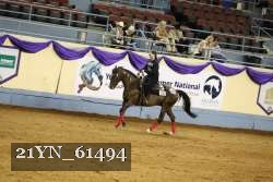 21YN_61494 thumbnail