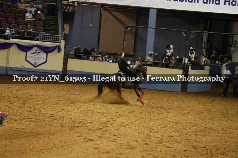 Proof Number 21YN_61505