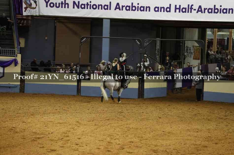 Proof Number 21YN_61516