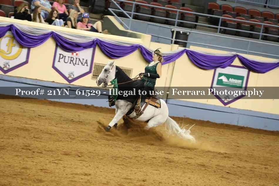 Proof Number 21YN_61529