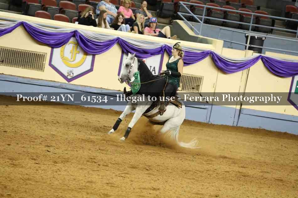 Proof Number 21YN_61534