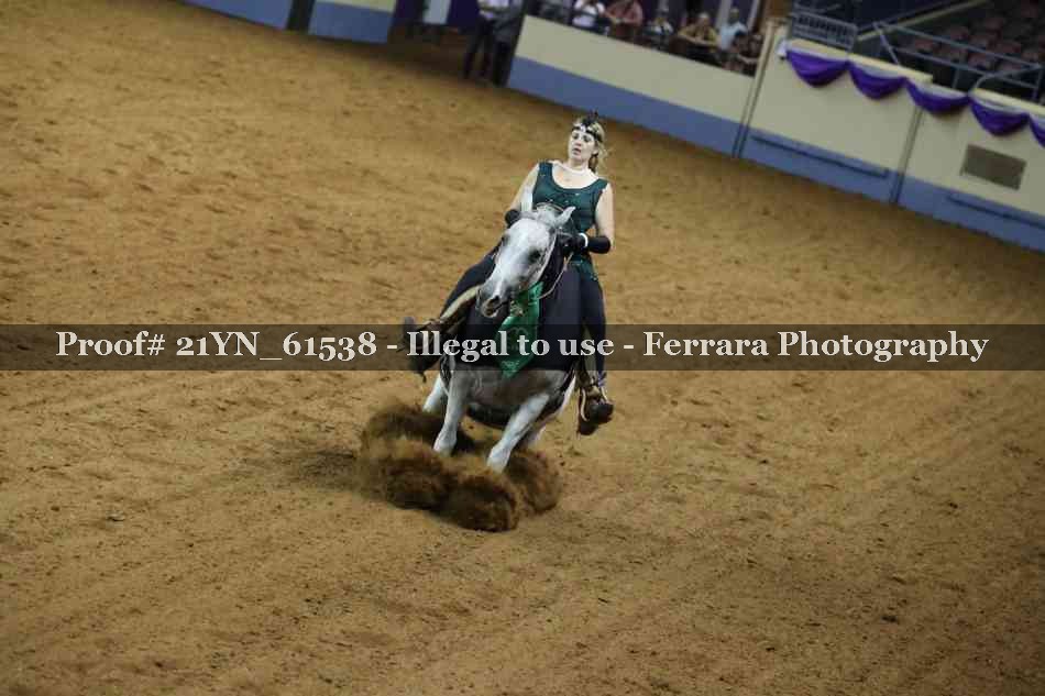 Proof Number 21YN_61538