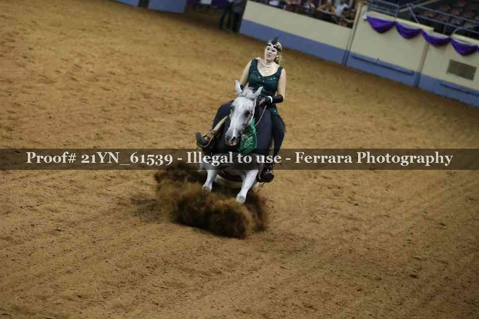 Proof Number 21YN_61539