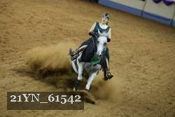 21YN_61542 thumbnail