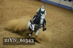 21YN_61543 thumbnail