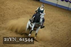21YN_61544 thumbnail