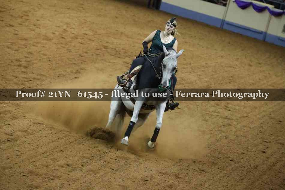 Proof Number 21YN_61545