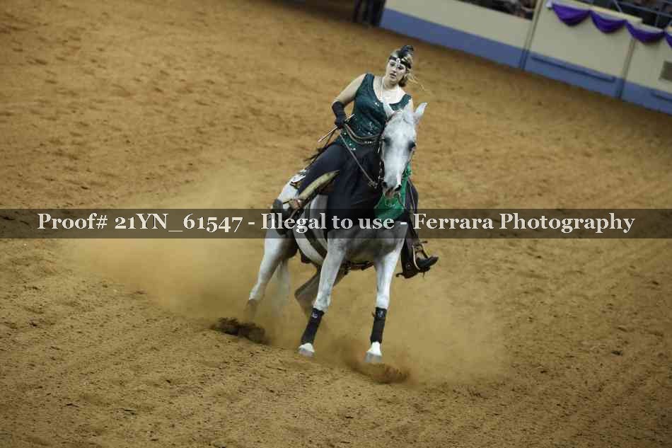 Proof Number 21YN_61547