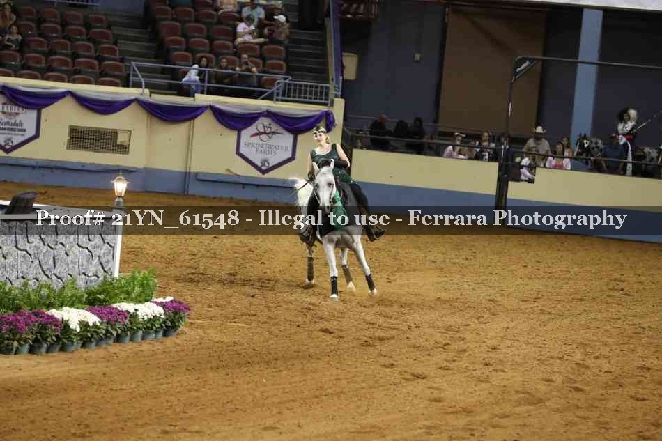 Proof Number 21YN_61548