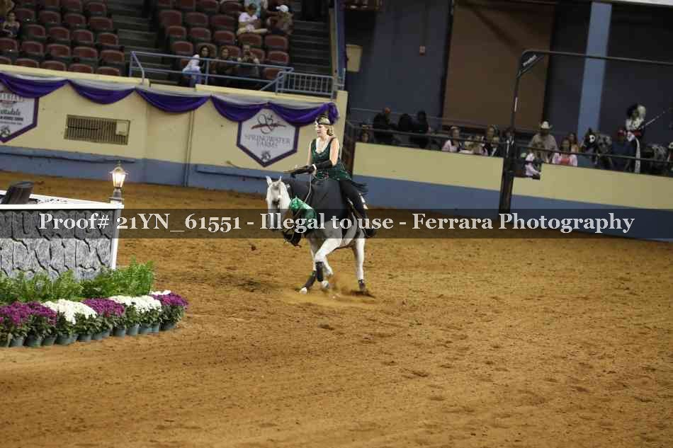 Proof Number 21YN_61551
