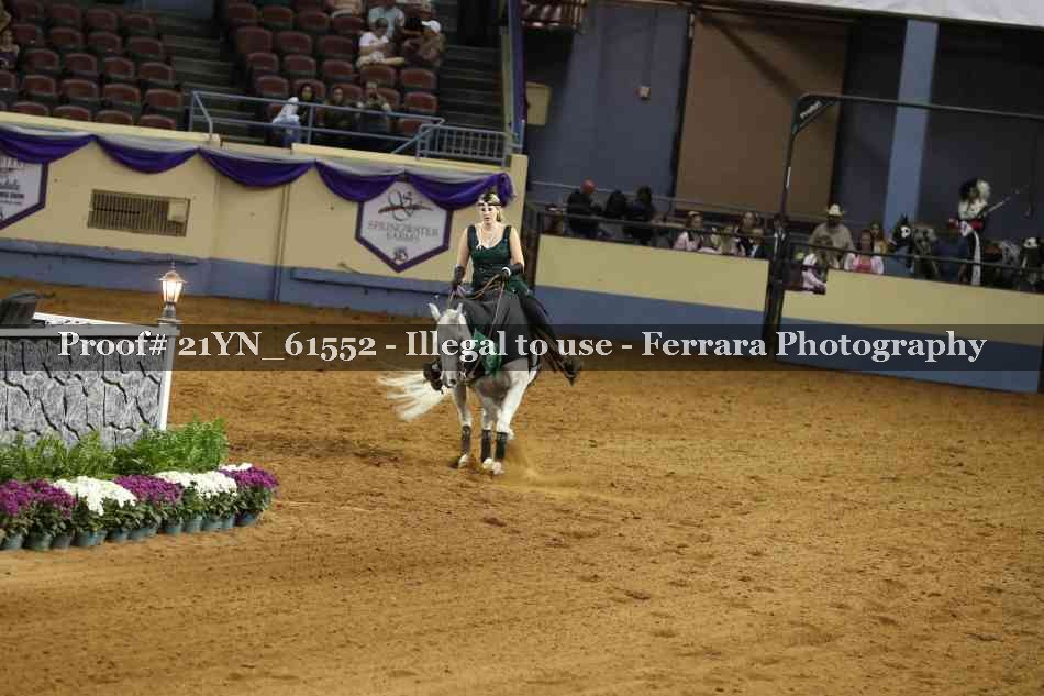 Proof Number 21YN_61552
