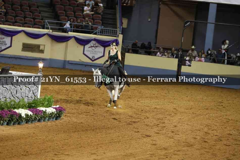 Proof Number 21YN_61553